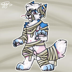 shaded ($25)