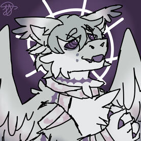 sketchy ($12)