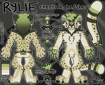 sketchy budget reference sheet ($35)
