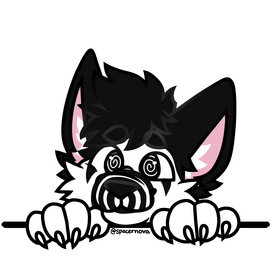 flatcolor ($10)